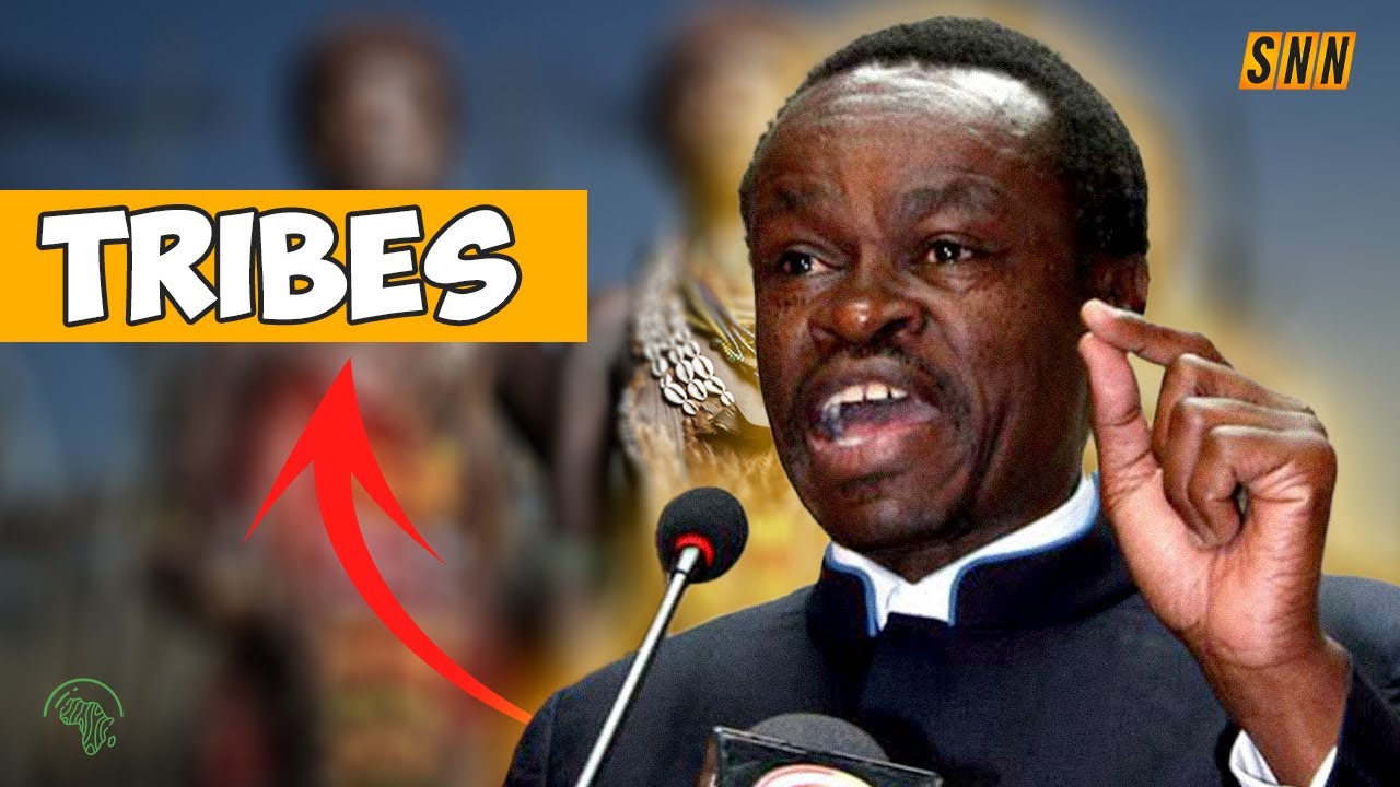 PLO LUMUMBA: THE ORIGIN OF TRIBES | WHY COLONIZERS CALLED US TRIBES AND THEM NATIONS?