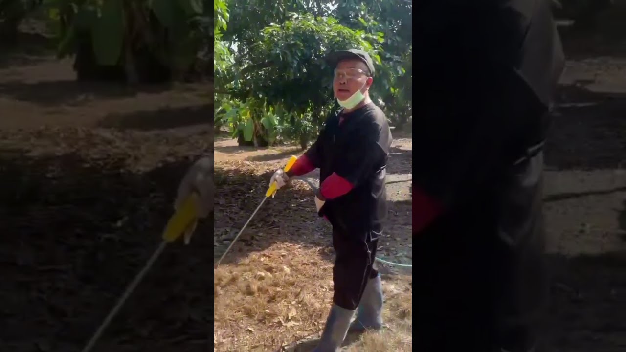 อ.ประสิทธิ พ่นสารเอง