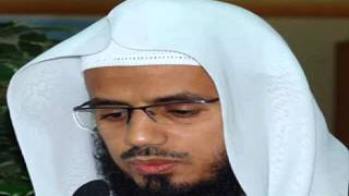 سورة العاديات - الشيخ أبو بكر الشاطري