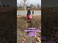 Mini Excavator For 2999 The Ultimate Tool For Everyone рџ Ґрџљњ Miniexcavator Mini Excavator For 2999 The Ultimate Tool For Everyone рџ Ґрџљњ Miniexcavator