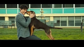 Где ты была девочка. Путь Домой 2019 (12+)