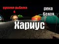 Русская рыбалка 4(рр4/rf4) - река Белая. Хариус.