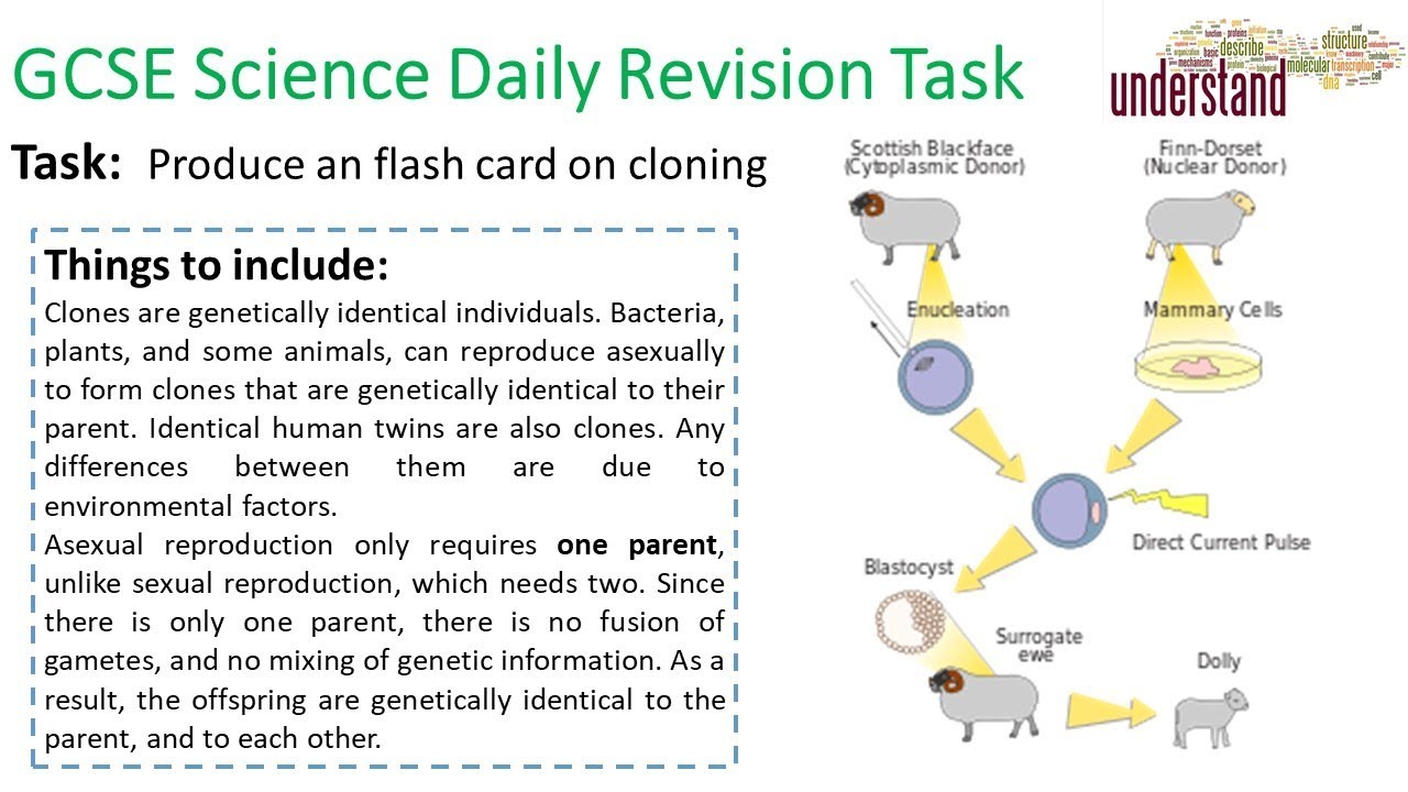 GCSE Science Daily Revision Task 137 - YouTube