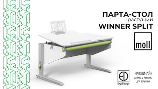 Почему родители выбирают парты Moll | Обзор школьного стола Winner Split