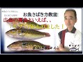 √99以上 ベラ 捌き方 塩焼き 340168-ベラ 捌き方 塩焼き
