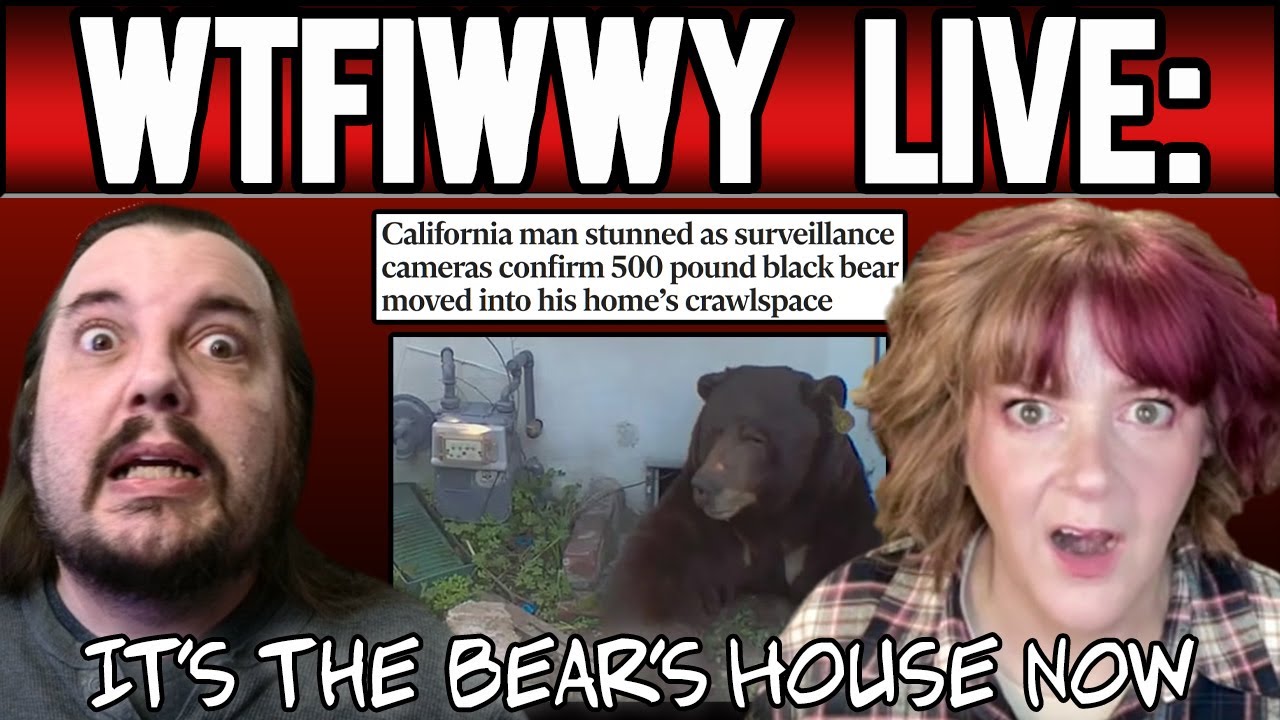 WTFIWWY Live - It's The Bear's House Now - 12/1/25