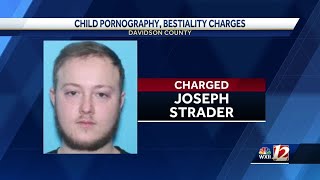 Man facing child, animal sex charges in Davidson County, sheriff's office says