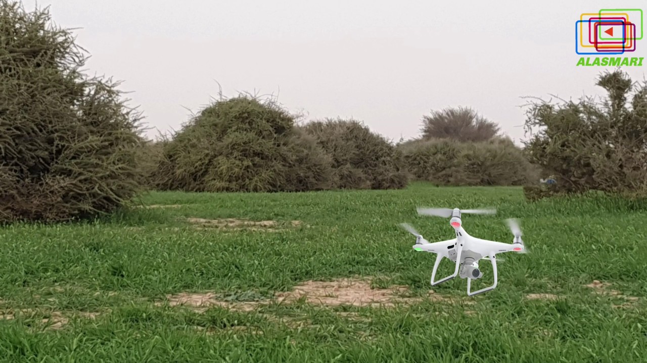 تصوير جوي لروضة خريم