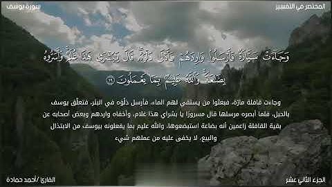 ما تيسر من سورة يوسف ♥️🌺🌺