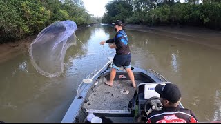 Live bait fishing brisbane river !!!! Live baits destroyed !!!! 🐟🐟