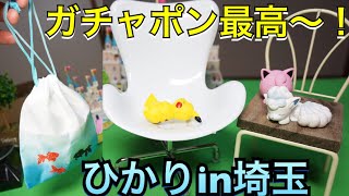 ガチャポン開封！ポケモンおやすみフレンズ&金魚すくいポーチ ガシャポン カプセルトイ ミニトイ