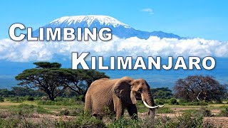 Climbing Kilimanjaro - The Highest Freestanding Mountain in the World