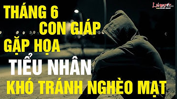 Tháng 6 Năm 2019 Con Giáp Gặp Họa Tiểu Nhân Tổn Hao Tài Sản Tiền Bạc - Tử vi 12 con giáp