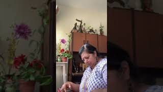 Ik pyar ka Nagma hai maujon ki rawani hai Hawaiyan guitar by Renu Swaroop