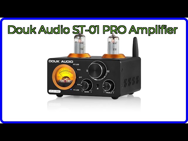 REVIEW (2026): Douk Audio ST-01 PRO Amplifier. ESSENTIAL details