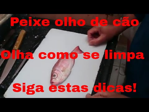 Como | limpar | Peixe | olho | de | cão | Pirapema |