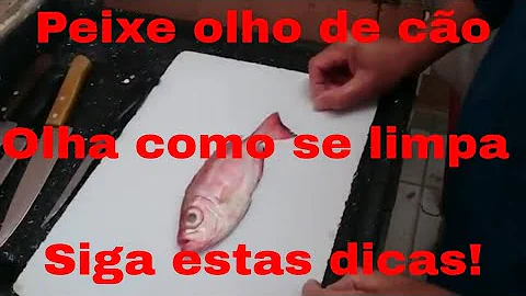 Como limpar peixe cachorro?