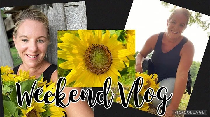 Sunflower Fields, and Fitz's Bottling Company / Weekend Vlog's
