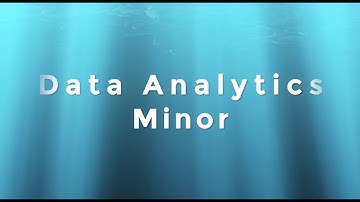 Data Analytics Minor