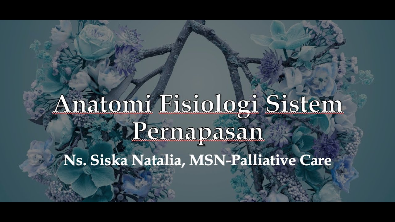 Anatomi Fisiologi Sistem Respirasi