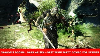 Dragon’s Dogma : Dark Arisen - Why 2 Mages + Fighter is the best Pawn Party combo 4 a Strider Arisen