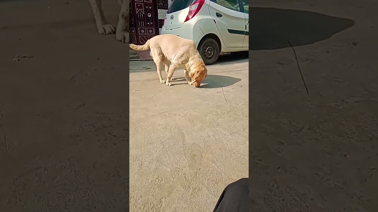 max the cute boy 😘😍