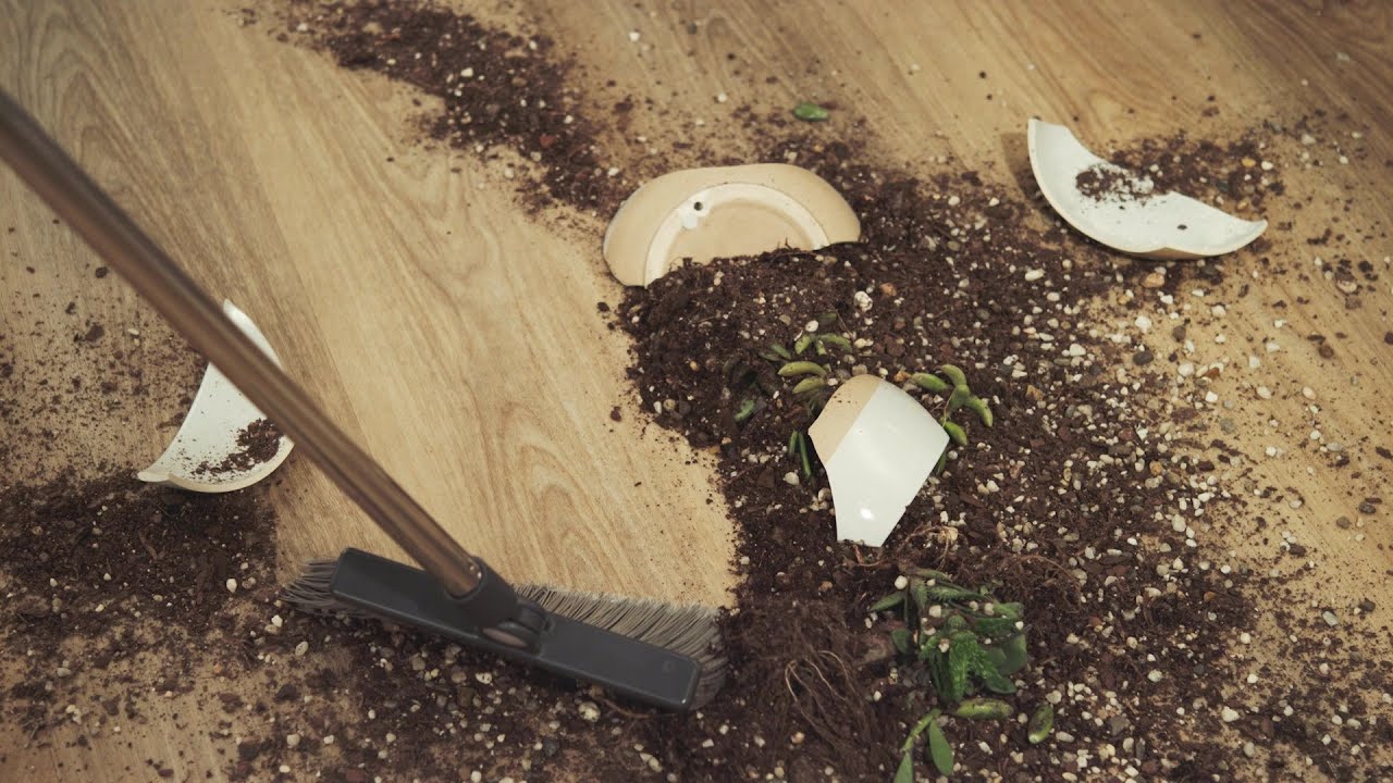 Pergo Extreme Luxury Vinyl Flooring is Easy to Clean YouTube