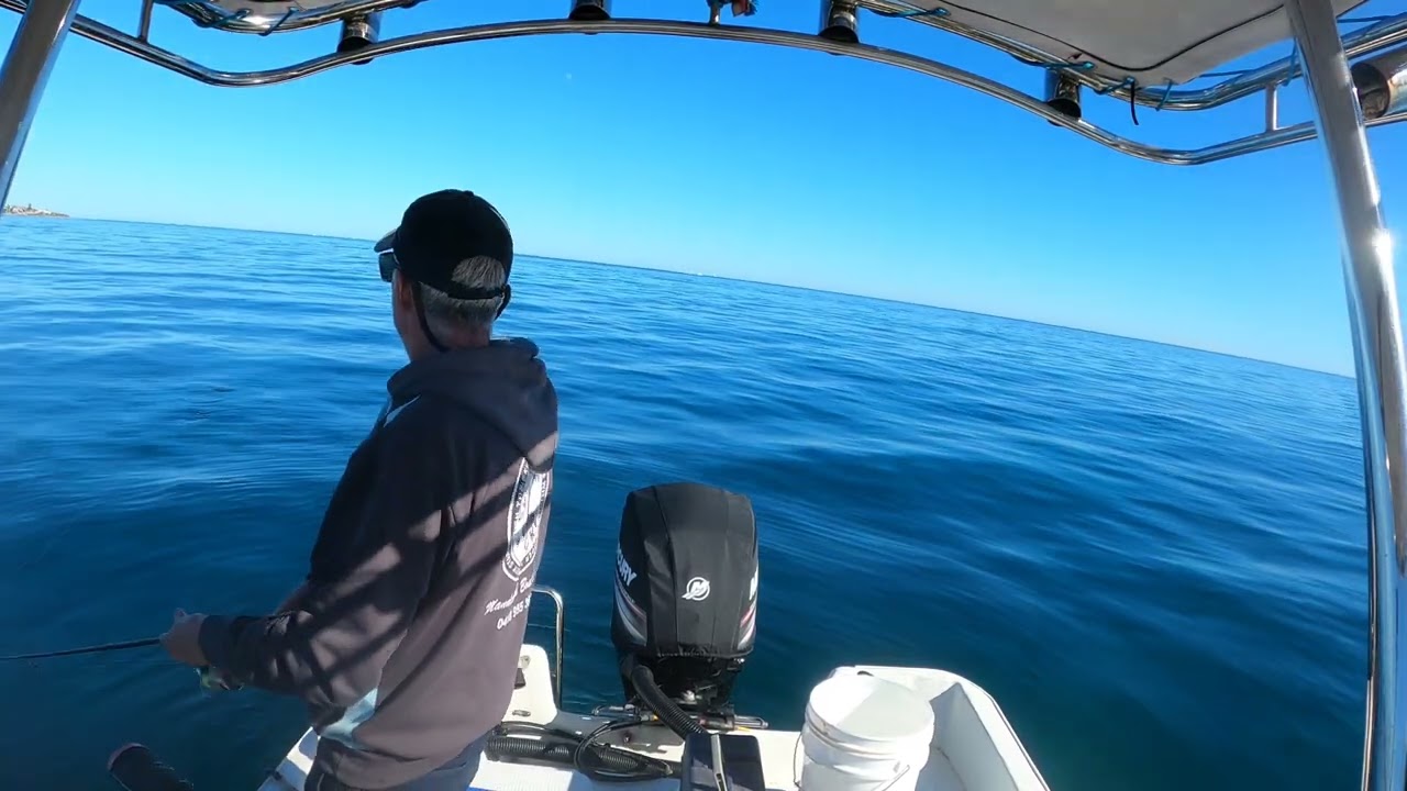 HOW TO CATCH HERRING THE EASY WAY YouTube