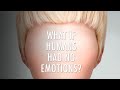 What If Humans Didn&#39;t Have Emotions? | Unveiled