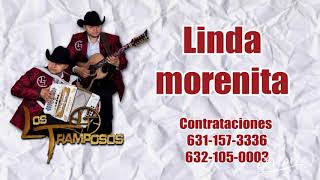 Video thumbnail of "Linda morenita - Los Tramposos"