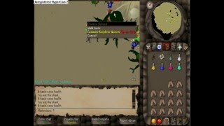 Kalphite Queen Trip