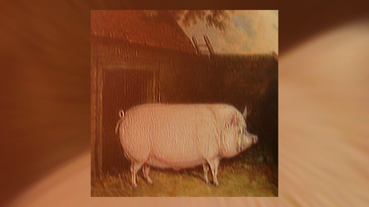 Music to cook pig to - YouTube