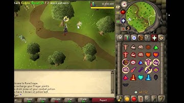 Making 504k/hr killing lvl 2 goblins in osrs