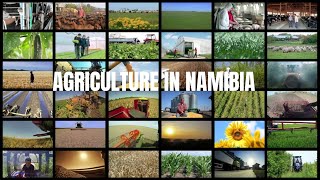 AGRICULTURE IN NAMIBIA | LIFEALLEYOOPS CHANNEL TRAILER | #agriculture #farming #gardening #namibia