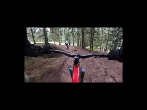 FREERIDE & DESCENTE POV journée parfaite !