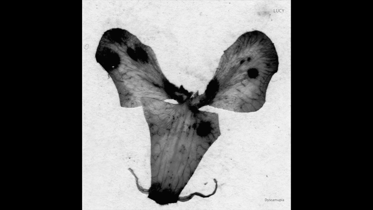 Lucy - Dyscamupia (Forward) [SA034]