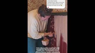 Nopeat vinkit pellavaöljyllä maalaamiseen🎨