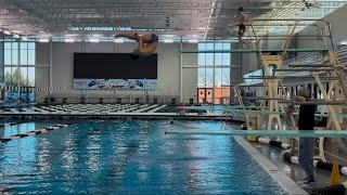 204b Back Double Flip Pike 1m Springboard 2.5