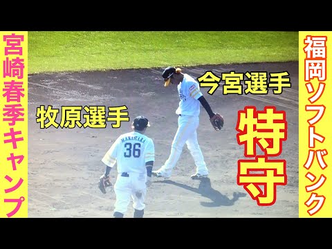 宮崎春季キャンプ明豊出身今宮健太選手・熊本城北出身牧原大成選手#スポーツ #草野球 #走れ！大井チャンネル #野球YouTuber向 Brother TV #野球YouTuberしょーへーTV#革命軍