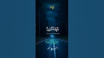 القارئ |أحمد أنور عرفات #قرآن #تلاوات