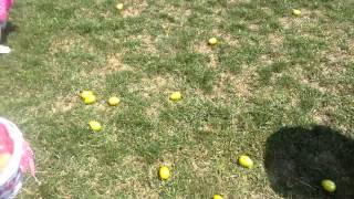 Peytons first Easter egg hunt! April 12, 2014