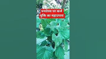18 अक्टूबर धनतेरस कर्ज मुक्ति उपाय #mrhighthink #podcast #shyam #laxmiji