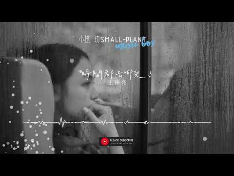 時間都去哪兒了 | 王錚亮 | 当你觉得轻松的时候, 是因为有人帮你顶住了不轻松的事情 | 歌词 | Lyrics