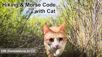 SOTA Cat adds 6 dB to signal | Summits on the Air