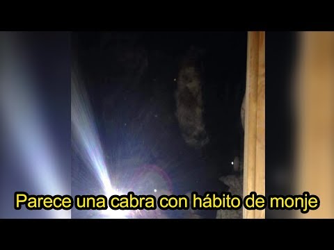 Vídeo: Encuentros Con Criaturas Parecidas A Demonios Que Caminan Sobre Cascos - Vista Alternativa