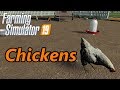 Farming Simulator 19 Tutorial | Chickens