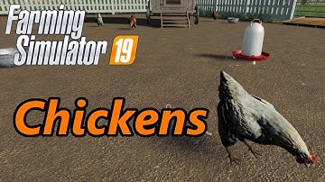 Farming Simulator 19 Tutorial | Chickens