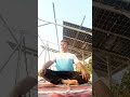 Morning Yoga Live 🌞 #trending #viral #shortsfeed #shorts #yoga #fitness#yogapractice #excercise#fit