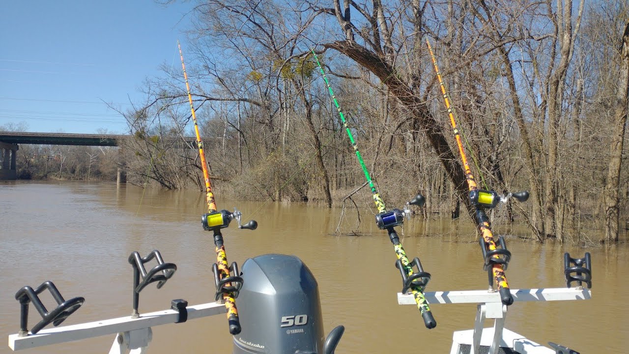A Catfish Fishing Adventure