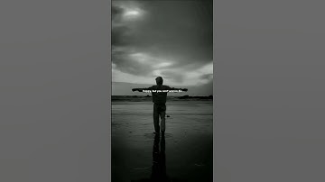 Numb Little Bug - Em Beihold (Piano version) lyrics video